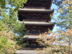 ぶらりと　京都へ・・仁和寺と龍安寺