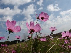 秋の1日　名古屋の公園で遊ぶ♪庄内緑地公園、鶴舞公園、フラリエ