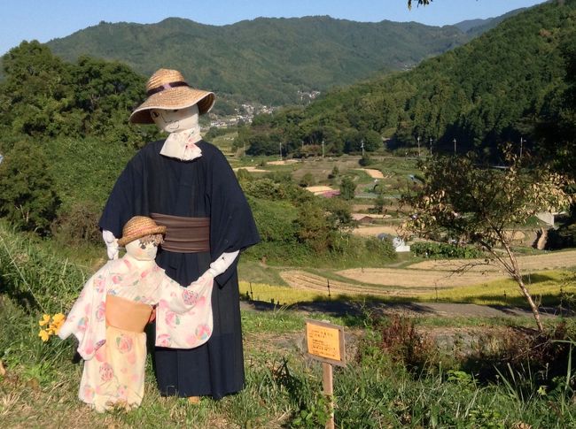 秋深まる明日香村　　奥飛鳥を歩く