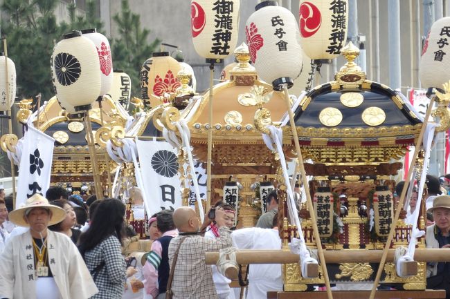 北条海岸のT字路から神輿が渡御してくる。皆綺麗で新しそうに見えるのだが、屋根には鳳凰ではなく擬宝珠が上がっている。聞いてみると神輿は皆古くからのものだという。修繕して綺麗になっているのだともいう。なるほど、それなら古い形式の擬宝珠でもおかしくはない。それにしても、全ての神輿に擬宝珠が上がっているのも中々珍しいだろうか。<br /> 神社の例大祭ではないのだからお旅所などない。海岸道路の片側に神輿を止めて三々五々に休憩に入った。担ぎ手たちもところ構わずに一服している。館山駅西口入口のT字路からはまだ距離があるので、観客は多くはなく、カメラを持った人たちが神輿の回りに集まってくる。普通に見られる祭の神輿渡御とは違ってのどかな渡御である。<br />(表紙写真は渡御してきて休憩中の神輿)