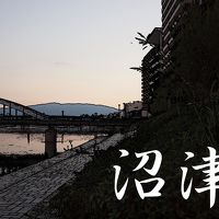 「東海道五拾三次」を歩く　　十三、沼津 ～ 原