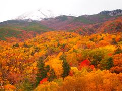 北海道、広大な大地に感動の道東の旅　1日目