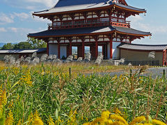 古都の秋 奈良・平城宮跡を散策 　★世界文化遺産「古都奈良の文化財」★