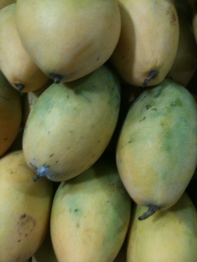 カンボジアの果物は多くて、マンゴーの実は１月〜３月までが多いですが、安いです。１０月は少ないです。マンゴーは一個＝２５円くらいです。高くて美味しかったです。