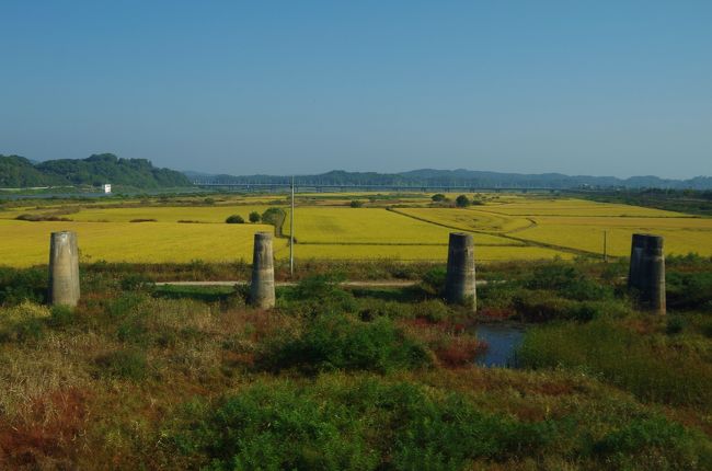 初めての韓国旅行。一時の韓流ブームとは全く無縁、一人旅は食事が大変との先入観。正直、これまで旅行先の選択肢に韓国を入れたことはありませんでした。最近は近くて遠い国などと云われ、日本人旅行者は減少しているとのこと。しかし、あまのじゃくな性格も手伝い、実際はどうなのか自分の目で確かめるべく旅に出てみました。<br />本編では旅行２日目のＤＭＺトレインに乗車してのＤＭＺ観光について紹介します。<br /><br />【旅程】<br />2014年10月9日（木）～10月12日（日）<br />　1日目　羽田空港からＮＨ1161で金浦空港へ　＜ソウル泊＞<br />◎2日目　ＤＭＺトレインでＤＭＺ観光　　　　＜ソウル泊＞<br />　3日目　ソウル市内観光　　　　　　　　　　＜ソウル泊＞<br />　4日目　金浦空港からＮＨ1162で羽田空港へ<br /><br />【為替レート】<br />1万円＝94,000ウォン（10/9空港内銀行レート）<br />1万円＝98,000ウォン（10/10明洞の両替屋レート）<br />