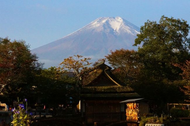 天気がよさそうなので朝4時起きで富士山を見に行くことに…<br />今の時期は、赤富士が見れるかも…と期待を込めて行ったのですが…