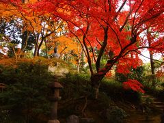 金戒光明寺　真如堂周辺の無料で楽しめる紅葉散歩♪