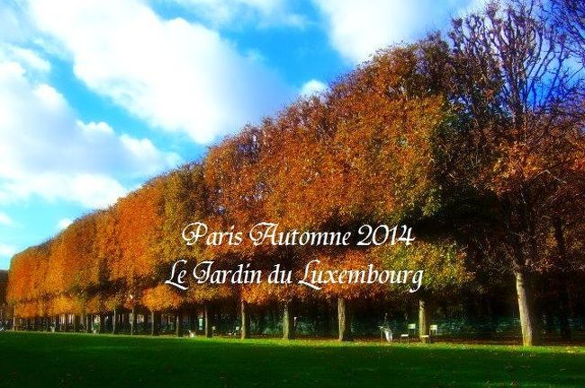 パリのお散歩　秋の装いみせる　リュクサンブルグ公園　Jardin du Luxembourg