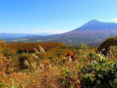 色鮮やかに染まる東北の紅葉巡り（蔵王～八幡平）