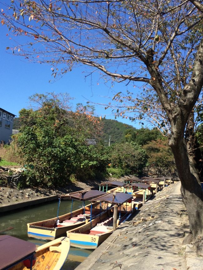 山奥で森林浴と川の流れに癒されたい今日この頃<br />京都はいっぱい近い滋賀へ<br />近江八幡水郷めぐり和船・・歴史巡りかと思いきや葦くらいしか見えない舟で９０分　のーんびり<br />車窓に映る田舎の景色　名も無い川の土手に癒されながら　充電。　<br /><br />当日彦根は２０１４年ゆるきゃらグランプリとは知らず・・・１５時終了後到着してよかった<br />なんとか駐車場も入れました。