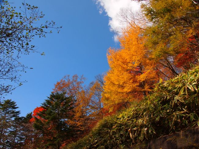 紅葉時期の男体山登山。表参道からのピストンです。下山後、車で対岸の中禅寺湖展望台、半月山展望台へも足を運びました。<br /><br />06:24 二荒山神社中宮祠 → <br />07:14 四合目 07:18 → <br />09:00 二荒山神社奥宮 09:09 → <br />09:16 男体山 09:29 → <br />09:33 二荒山神社奥宮 10:10 → <br />11:38 四合目 → <br />12:18 二荒山神社中宮祠<br /><br />（昼食後、車で移動）<br /><br />14:17 半月山駐車場 → <br />14:37 半月山 → <br />14:51 半月山展望台 → <br />15:06 半月山駐車場