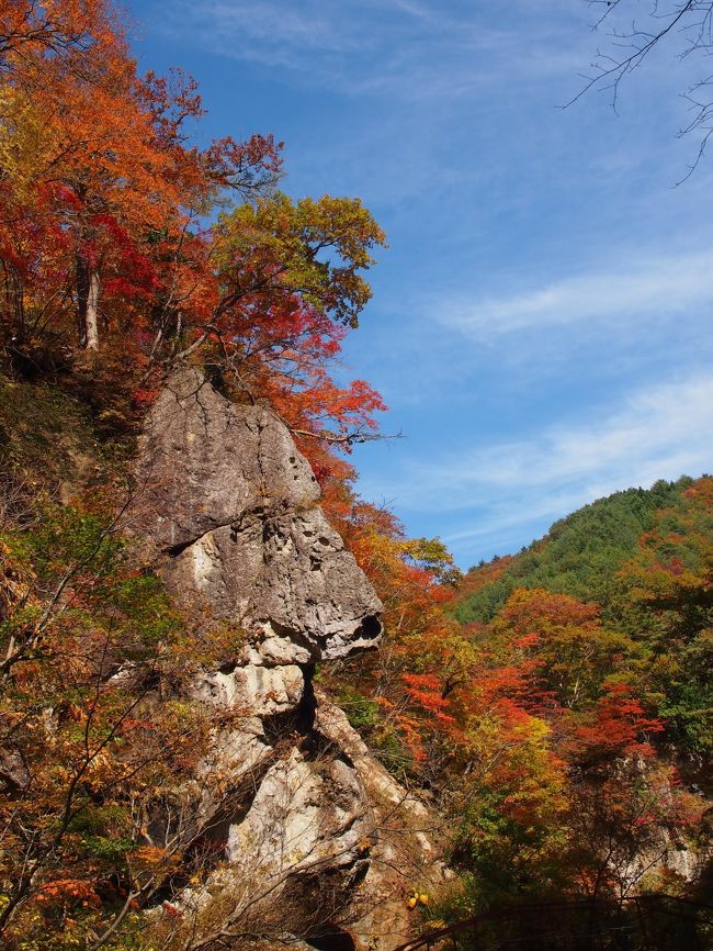 スリル満点すぎる 命がけの かなり大げさですが 紅葉狩り 面白山紅葉川渓谷 山形市 山形県 の旅行記 ブログ By こあひるさん フォートラベル スリル満点すぎる 命がけの かなり大げさですが 紅葉狩り 面白山紅葉川渓谷 山形市 山形県 の旅行記 ブログ By こあひるさん フォートラベル