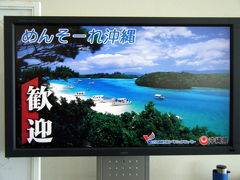 ヤッホー！沖縄です！。石垣島と那覇に8泊9日で行ってきました。Day ⑤　那覇編①　2012年5月7日ー2012年5月15日