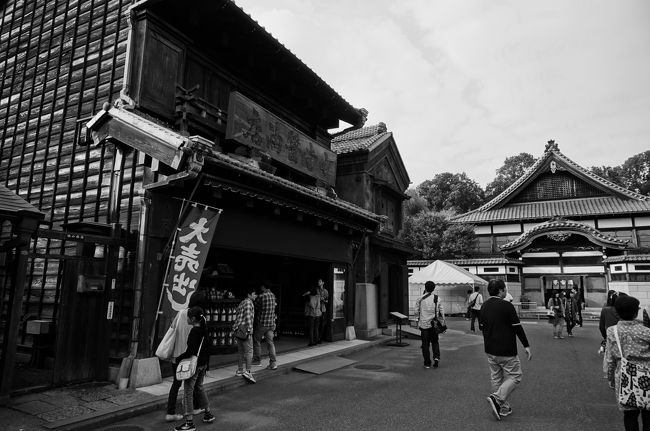 ずっと東京に住んでいるのに、つい先日まで「江戸東京たてもの園」の存在を知らなかった私。<br />都内にこんな昭和の匂いがプンプンするところがあるのかー！<br />と興味を持ち、ふらっと出かけてみたら・・・・<br /><br />もっとじっくりゆっくり見たい！！<br />気合をいれてくるんだった！と少し後悔。<br /><br />ノスタルジックな町並みに、ちょっとセンチメンタルな気分になったり<br />子供のようにはしゃいでみたり・・・<br /><br />期待以上の「江戸東京たてもの園」レポです。