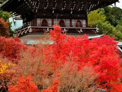 2013・「美しい瀬戸内」（広島周辺）をぶらりと巡る旅【３】～日本三景の地・宮島へ（紅葉に包まれる島内散策編）～