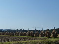 鳥海山麓　文化財だけど　これ出していいのかなぁ?