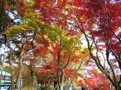 太平山_Ohirasan　陸の松島！秋は謙信平の紅葉（…と、お団子）