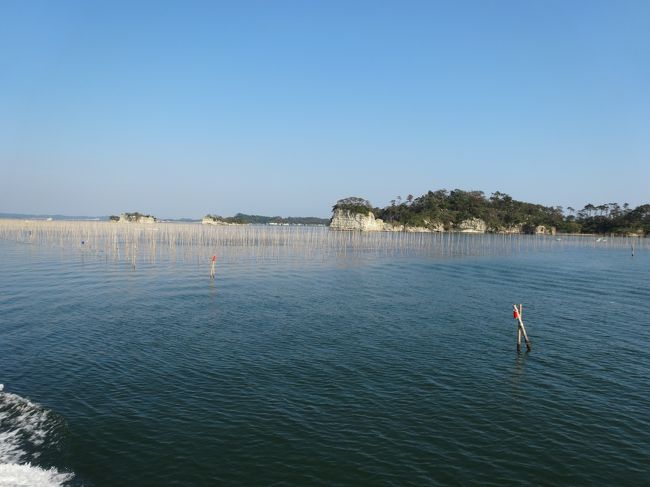 震災後の松島を訪れました。<br />あるお店の扉に、「ここまで海水が押し寄せました」と線が描かれてありました。<br />でも、何事もなかったかのようにお店は商売をし、観光客が行きかっていました。<br />一見すれば、以前訪れた時と変わらぬ美しい松島でしたが、<br />大きく違うのは、大きなトラックがほこりを立てて目の前を走り、遠くに目をやると何処とも工事、工事でした。松島に限らず、仙台は至る所工事中でした。<br /><br />