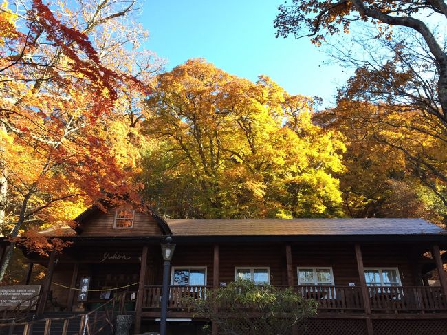 混むのが嫌いなので敬遠していたのですが<br />急に思いたって、20年ぶりくらいの紅葉狩りに娘と日光へ・・・<br />ついでにやっぱり名所をもう1度訪れてみようと<br />華厳の滝・東照宮・霧降高原<br />そして、食べ歩きも忘れずに・・・<br />