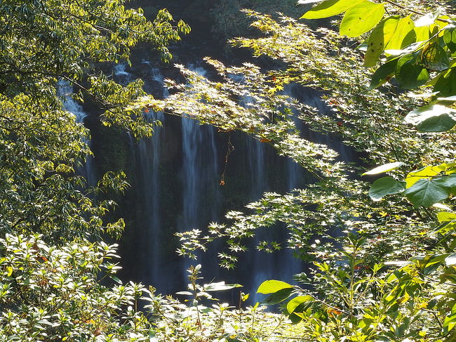 慌ただしい旅程でしたが所用の前日温泉旅館でゆっくりしました。<br /><br />露天風呂から天ケ瀬の名滝「桜滝」を見る。<br /><br />露天風呂から滝が見下ろせるのはここ「天水」だけだそうです。