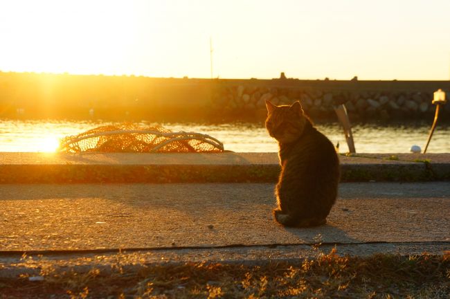 2014年10月，秋晴れの休日。瀬戸内の魅力を探しにふらりと旅をしてきました！<br /><br />【２日目】祝島(いわいしま)で夜明けの風景を楽しんだ後，民宿のご夫婦おすすめの風景を探しに島を歩きます。錦帯橋に向かってこの旅を締めくくりました。 