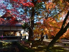 さわやかウォーキング～盛秋の飛騨金山 紅葉のもみじ寺と裏路地「筋骨」をめぐる～