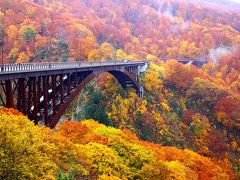 色鮮やかに染まる東北の紅葉巡り（城ヶ倉大橋、奥入瀬、松川渓谷）