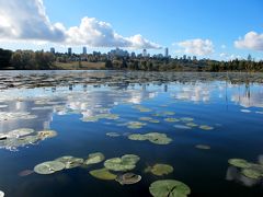 ディア湖公園 紅葉探し＆湖一周ウォーク