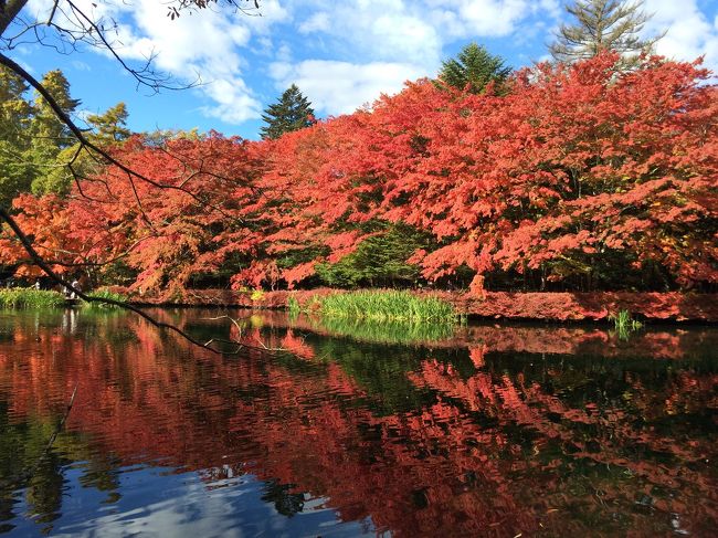 今日は2日目。<br />紅葉は見頃で天気もよく、気持ちよかった♪