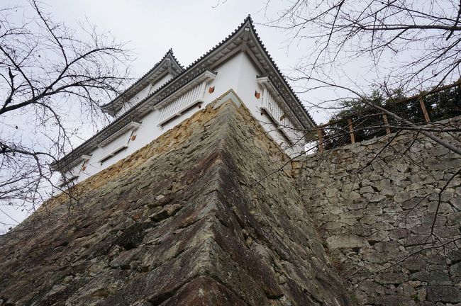 　センターラインの有る田舎道ドライブが好きな自分が珍しくも公共交通で城下町津山を訪問しました。<br />　津山市郊外の焼肉店に美味しい肉を食べに、たまに行きますが、観光は初めて…さて、どうなりますか…例によって日帰り単独行となりました。