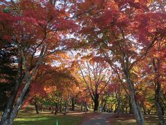 軽井沢秋のプチ旅