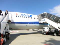 ANAボーイング787-9で行く東京・横浜旅行Part2　福岡→東京移動編（ANA248便）