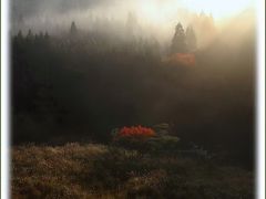 Solitary Journey ［1465］ 紅葉景色を楽しむ♪朝靄の山中で紅葉観賞、よかったです。 ＜秋景色の恐羅漢山を走る＞広島県安芸太田町