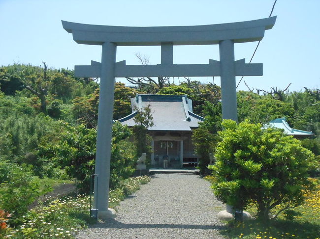 三宅島にヤイロチョウが出たという情報を戴き見に行きましたが、初日は見つけられませんでした。<br />翌日も三宅島を出発するまで、バードウォッチング三昧で楽しみました。<br /><br />表紙写真は、周辺でバードウォッチングをした富賀神社（とがじんじゃ）です。<br />