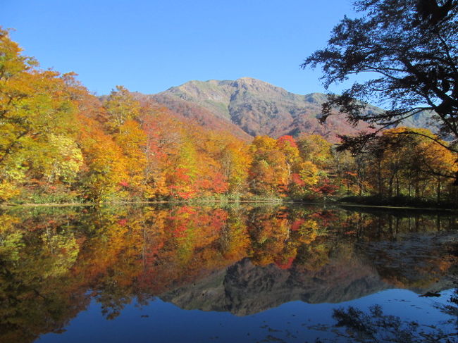 14 今年一番の紅葉 刈込池 大野 福井県 の旅行記 ブログ By マルネコさん フォートラベル 14 今年一番の紅葉 刈込池 大野 福井県 の旅行記 ブログ By マルネコさん フォートラベル