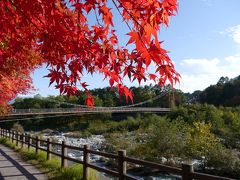 晩秋の木曽路旅　～奈良井宿・駒ヶ根１泊２日～