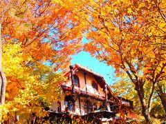 紅葉☆私のカントリーフェスタin清里☆弾丸旅　2014.10