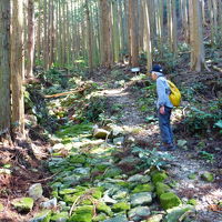 熊野古道大辺路コースを踏破。