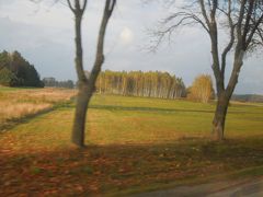 黄金の秋を楽しみにポーランド北東部へ　①出発　ワルシャワからビャウォヴィエジャの森へ