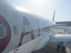 カタール航空　ビジネスクラス　［ドーハ→キリマンジャロ］　　　《タンザニア》アルーシャ＆セレンゲティ国立公園＆ザンジバル②