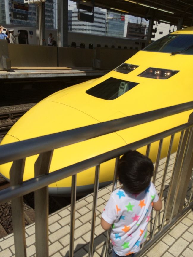 3歳の夏休みに東京駅や新横浜駅でいろいろな新幹線を見ました。<br /><br />また、足を伸ばしてディズニーリゾートラインのモノレールにも乗りました。<br /><br />9月5日には新横浜駅でドクターイエローを見ました。