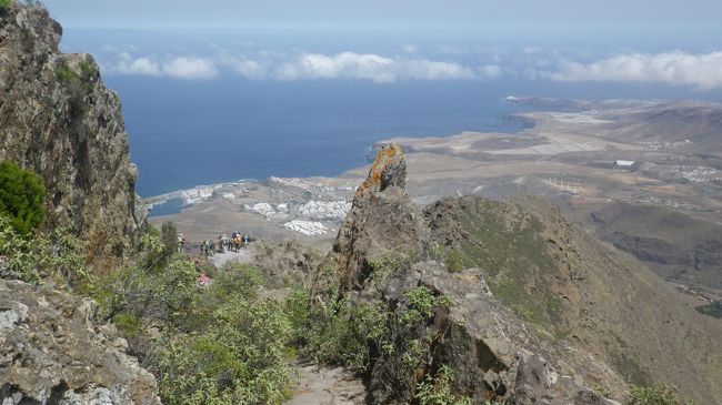 アフリカ　モロッコの西方にあるカナリア諸島のグランカナリア島のラスパルマスの入港。<br />本来セネガルのダカールに行く予定でしたが、エボラ出血熱の流行が懸念され急きょ変更になり、一日早くラスパルマスに。<br />街はヨーロッパを思わすたたずまいであるが、熱帯地であり大きなサボテンが何処にでも生えている。<br />バスでタマダバ自然公園(標高1200M前後）にいき、松林の中をあるく。展望所では眼下に大西洋の美しい入り江が絶壁の岩峰下に・・・ガレ場の急降下が続きラミナ渓谷を下る。