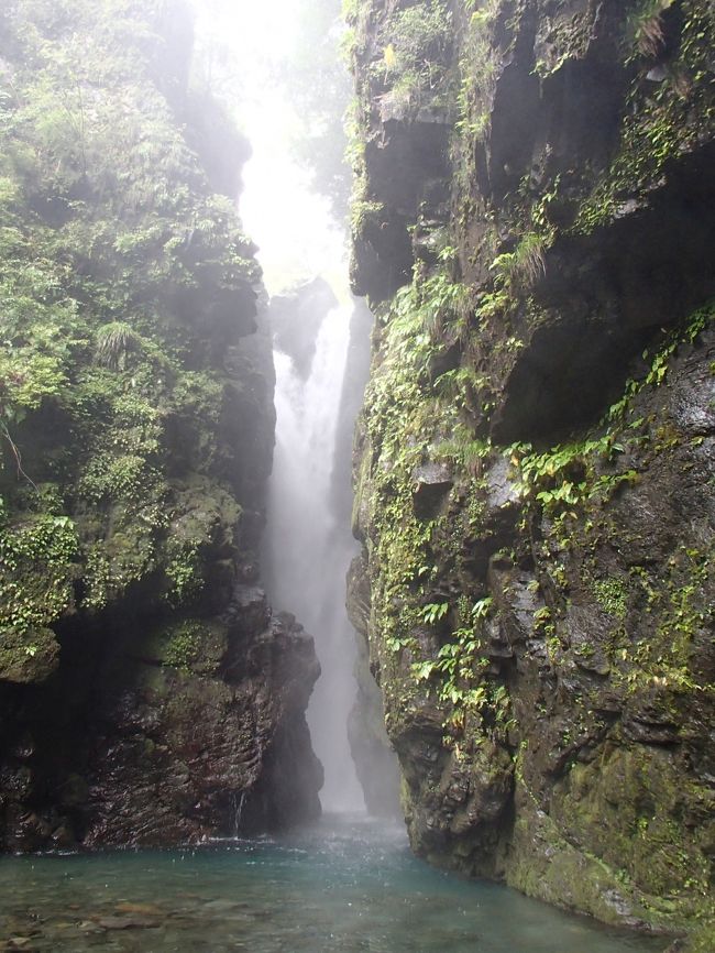 室戸岬から鳴門に戻る途中まだ時間があったので、徳島県海陽町にある日本の滝百選『轟の滝』に再訪してみることにしました。JOECOOL夫婦は再訪ですが、ガブちゃんはもちろん初めてです。<br />JOECOOL夫婦が初めて訪れたのは2008年1月、その豪快かつユニークな滝姿に感動したので、ガブちゃんにも見せてあげようという気持ちもありました。<br /><br />『轟の滝』へ行くには、国道55号線から国道193号線に入り、その後延々と山道を走ってようやく行くことができます（海陽町役場付近から約27km・車で約45分）。<br />室戸岬ではあんなに晴れていたのに、滝に向かう途中ではどしゃ降りの雨...<br />そんな山道に慣れていないガブちゃんだからきっと怖いと思うかもしれないなと心配しましたが、ちょうど豪雨の時はガブちゃんは後部座席でうたた寝（笑）。JOECOOLとしてはその方が良かったナと思いました。<br />でも滝に着くと、雨はあがっていて曇り空。さすがは“曇り女”の本領発揮だね！♪