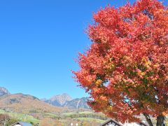 八ヶ岳南麓紅葉ドライブ