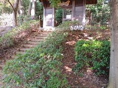 バラとススキに癒される　自然が豊富、秋の野津田公園