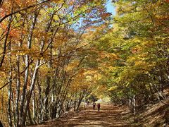 紅葉の西沢渓谷トレッキング①（～恋糸の滝）2014年10月