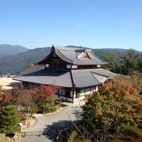 京都の街を高台から望む