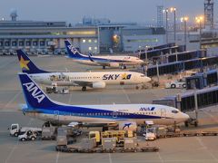 7水曜1日目1あさana航空の往き 常滑 セントレア 中部国際空港 愛知県 の旅行記 ブログ By Sai Tenさん フォートラベル 7水曜1日目1あさana航空の往き 常滑 セントレア 中部国際空港 愛知県 の旅行記 ブログ By Sai Tenさん フォートラベル