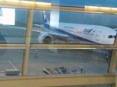 ANAボーイング787-9で行く東京・横浜旅行Part12　東京→福岡移動編（ANA267便）