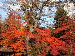 栃木県日光市湯西川温泉と三依地区の紅葉が見頃でした。その1